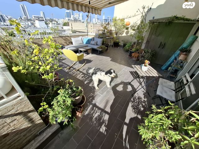 גג/ פנטהאוז, דרך שלמה, שפירא, תל אביב יפו