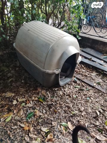 תמונת מודעה - חיות מחמד