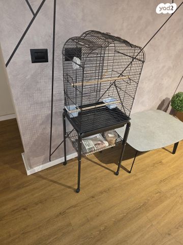 תמונת מודעה - חיות מחמד