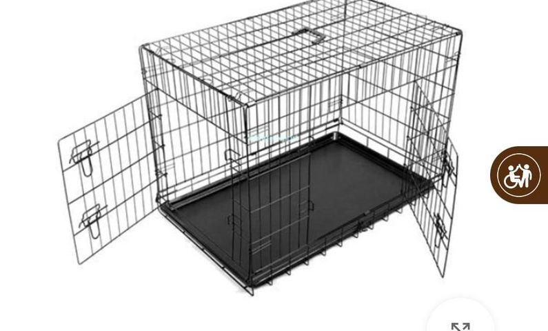 תמונת מודעה - חיות מחמד