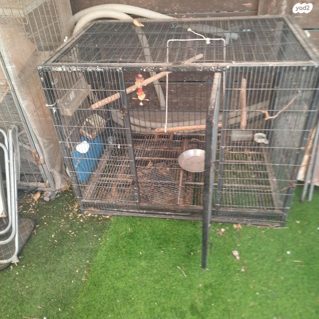 תמונת מודעה - חיות מחמד