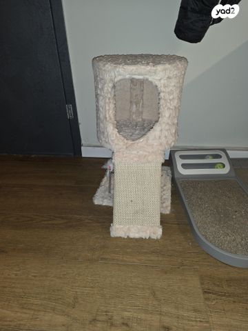 תמונת מודעה - חיות מחמד