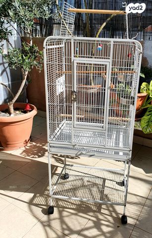 תמונת מודעה - חיות מחמד