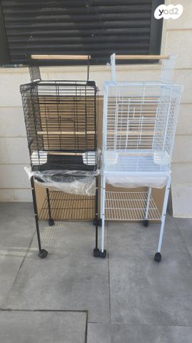 תמונת מודעה - חיות מחמד