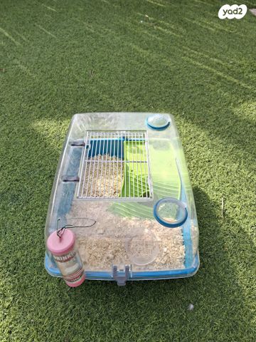 תמונת מודעה - חיות מחמד