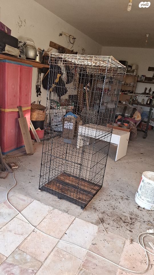 תמונת מודעה - חיות מחמד