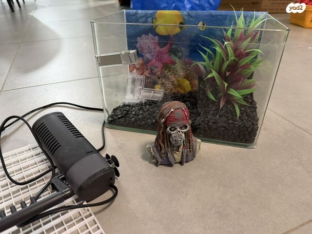 תמונת מודעה - חיות מחמד