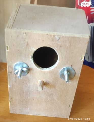 תוכי פרקיטים אוסטרלים