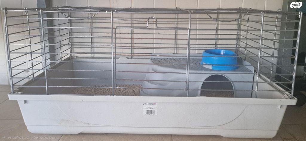 מכרסם ארנב \ שפן