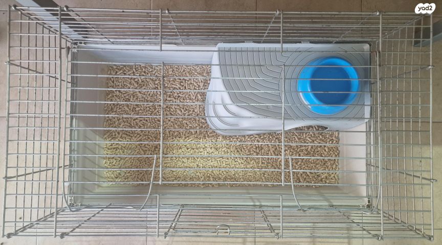 מכרסם ארנב \ שפן