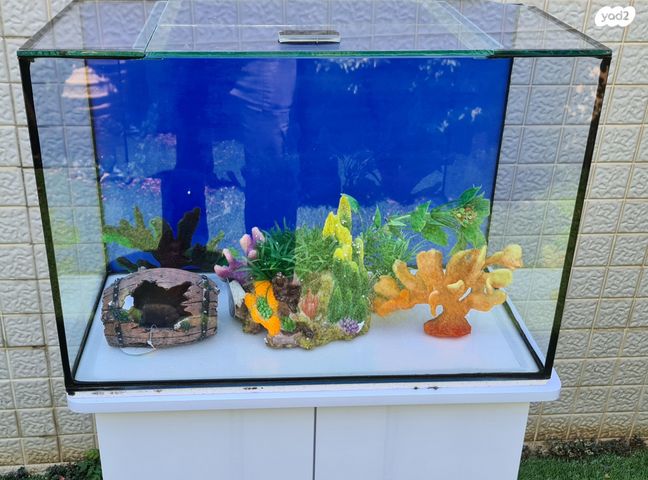 אביזרים | אקווריום