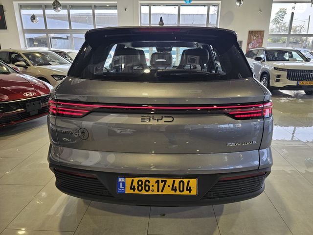 בי.ווי.די סי ליון 05