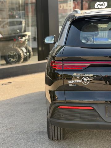 בי.ווי.די סי ליון 05