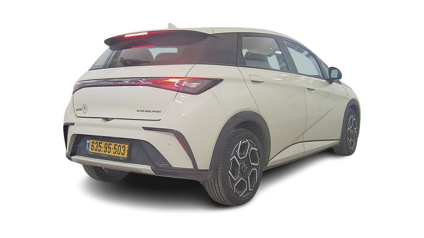 בי.ווי.די דולפין