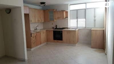 דוד אלרואי 14