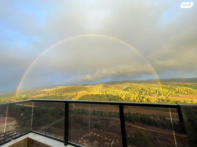 רועי קליין 21