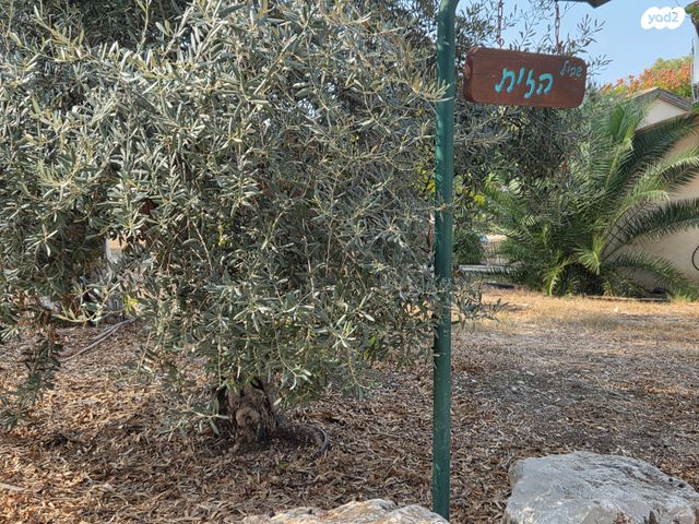 בית פרטי/ קוטג', שביל הזית 1, רמת דוד, רמת דוד