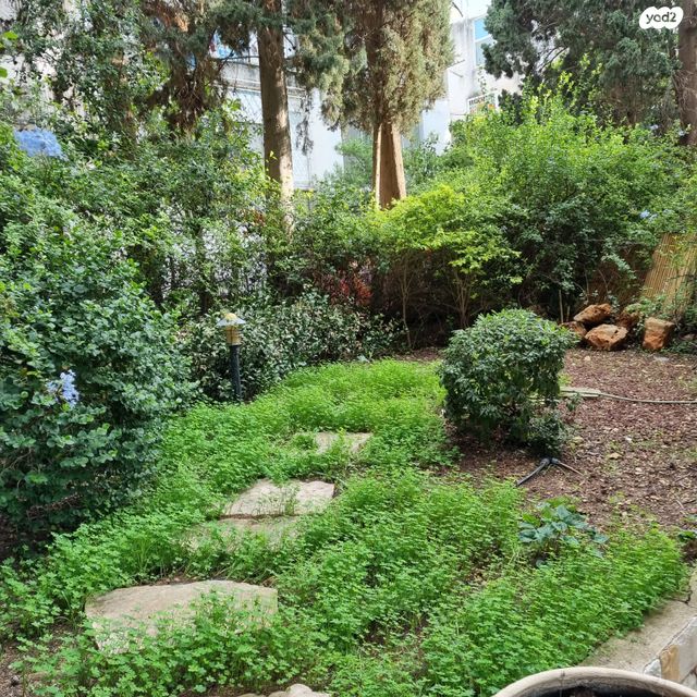 דירת גן, חניתה 45, נווה שאנן, חיפה