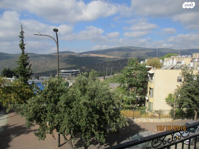 דוד אלעזר 33