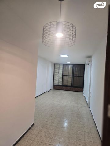 דבורה בארון 6