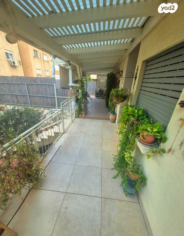 שלמה המלך 10