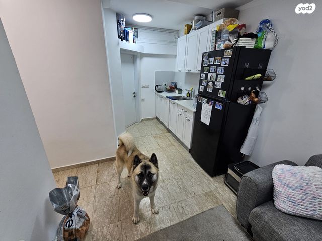 יחידת דיור, מסריק 11, פרדס הגדוד, נתניה