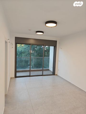 מעפילי אגוז 40