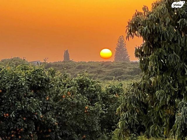 בית פרטי/ קוטג', דרך הלולים 128, רמות מאיר, רמות מאיר
