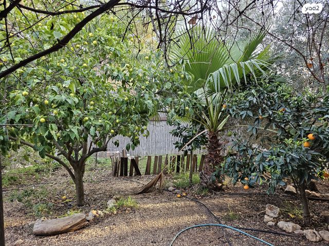 דו משפחתי, הגפן 8, רמת מנחם בגין, צפת