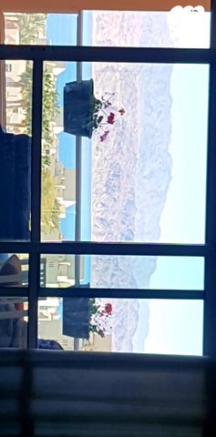 דירה, החשמונאים 36, שבטי ישראל, שחמון, רובע 7, אילת