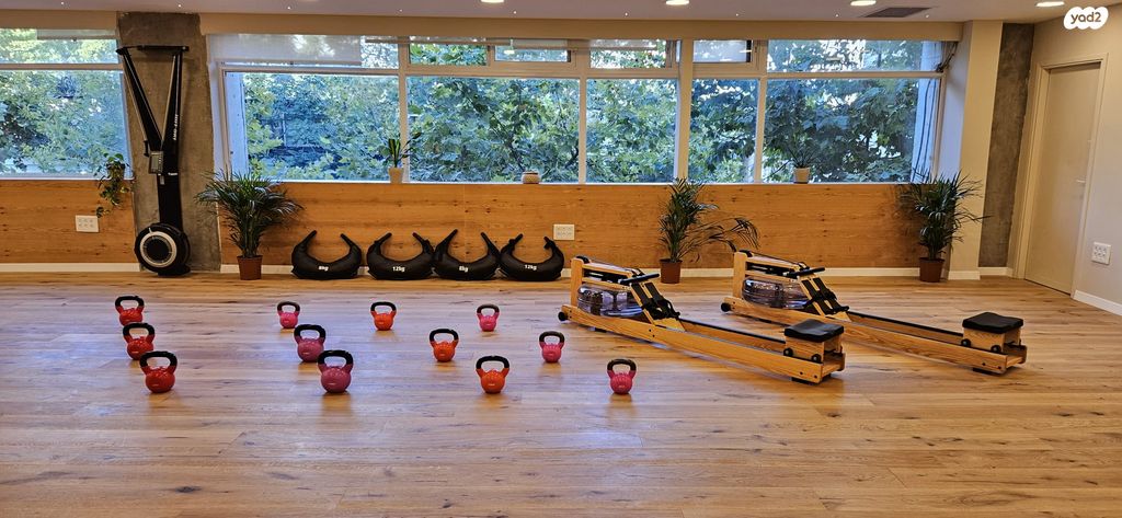 שלומציון המלכה 18