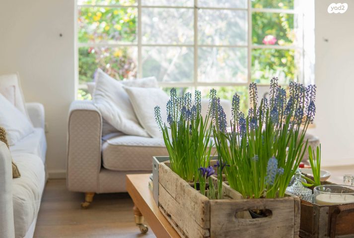 בית פרטי/ קוטג', כפר הס