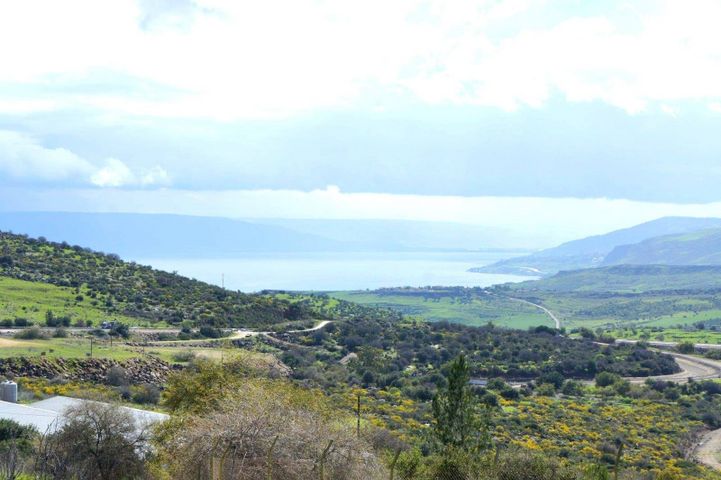 בית פרטי/ קוטג'