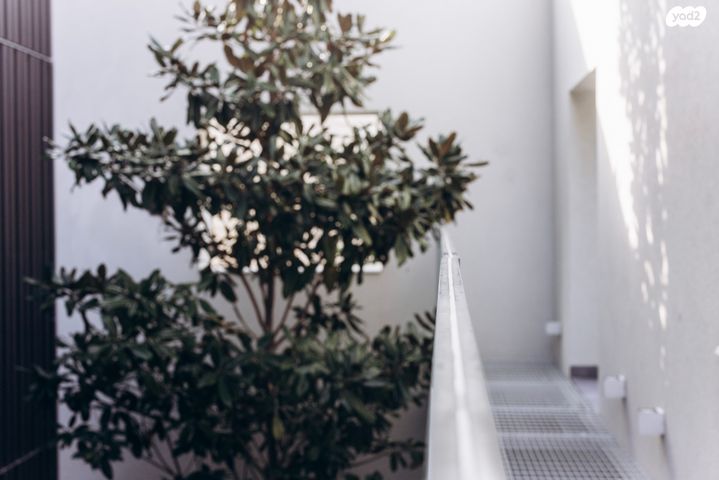 דירה, יונתן, בת גלים, חיפה