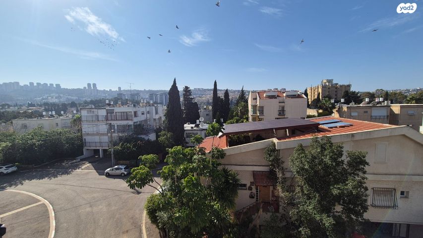 דירה, נווה שאנן, חיפה