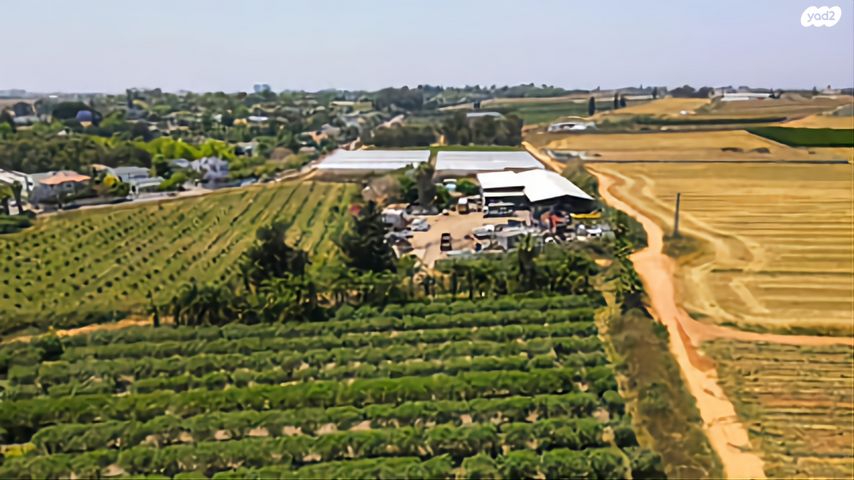 משק חקלאי/ נחלה