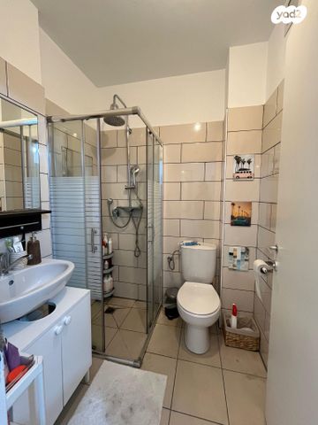 דירה, אריה לובה אליאב, זיו, חיפה