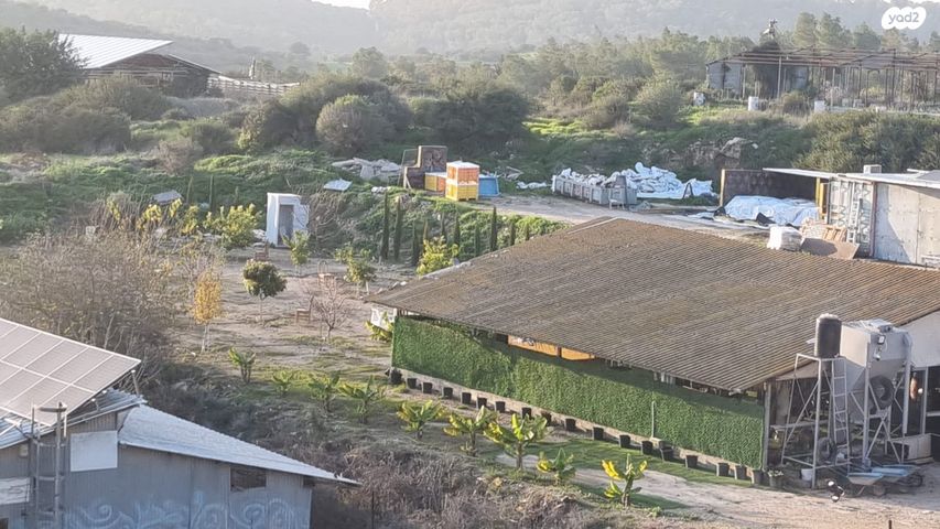 משק חקלאי/ נחלה, צפרירים