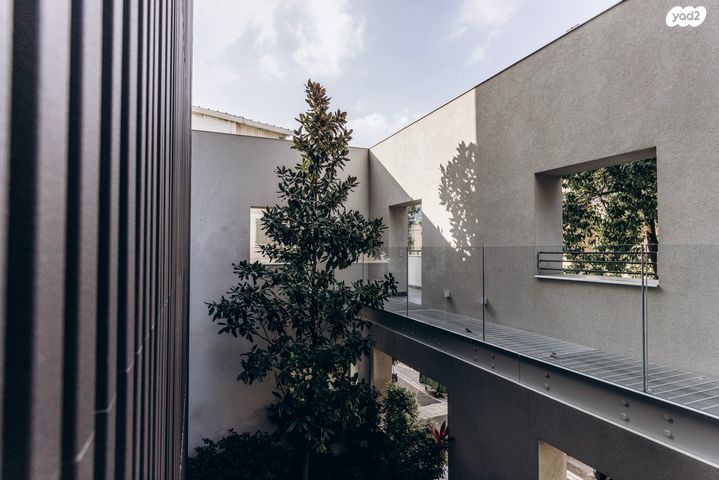 דירה, יונתן, בת גלים, חיפה