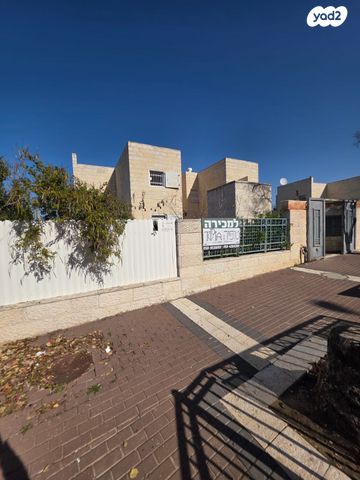 אריה דולצ'ין 