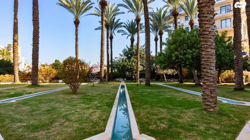 דירה, תל אביב יפו