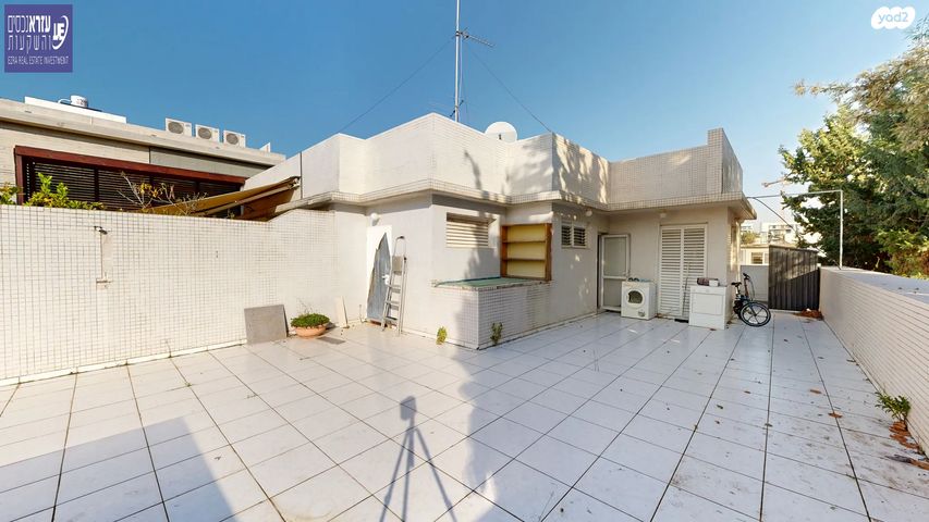 שלומציון המלכה 