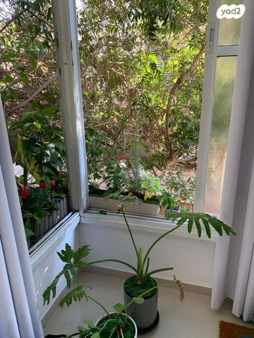 דירה, גבעת הרמבם, גבעתיים