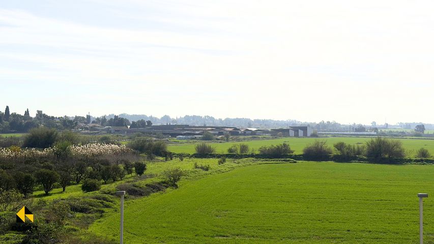 דירה, חזון אי"ש, רחובות הצעירה, רחובות
