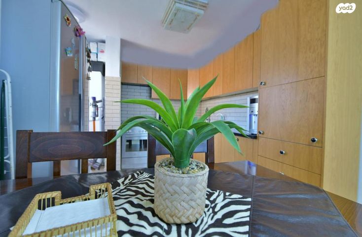 דירה, אלברט קיוסו 11, צהלון, שיכוני חסכון, תל אביב יפו