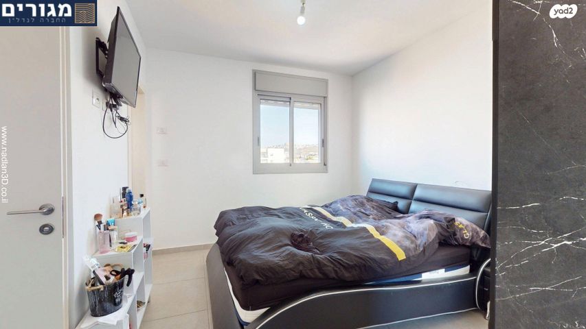 דירה, השחף, החותרים, טירת כרמל