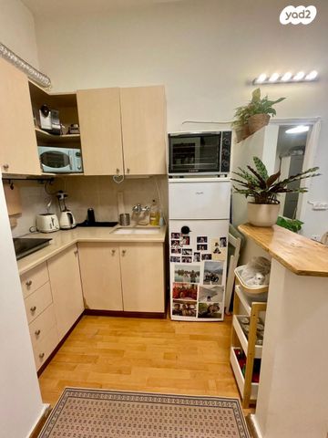 דירה, חובבי ציון, הצפון הישן - דרום, תל אביב יפו