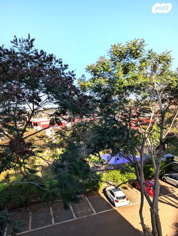 דירה, נווה גנים, פרדס חנה כרכור