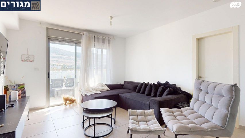 דירה, השחף, החותרים, טירת כרמל