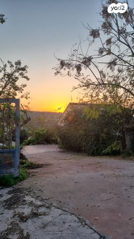 משק חקלאי/ נחלה, צפרירים